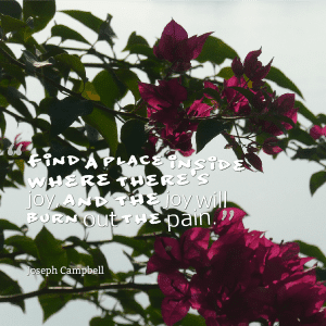 Reiki Nurse Elizabeth Scala