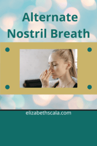 Breathwork Alternate Nostril Breathing