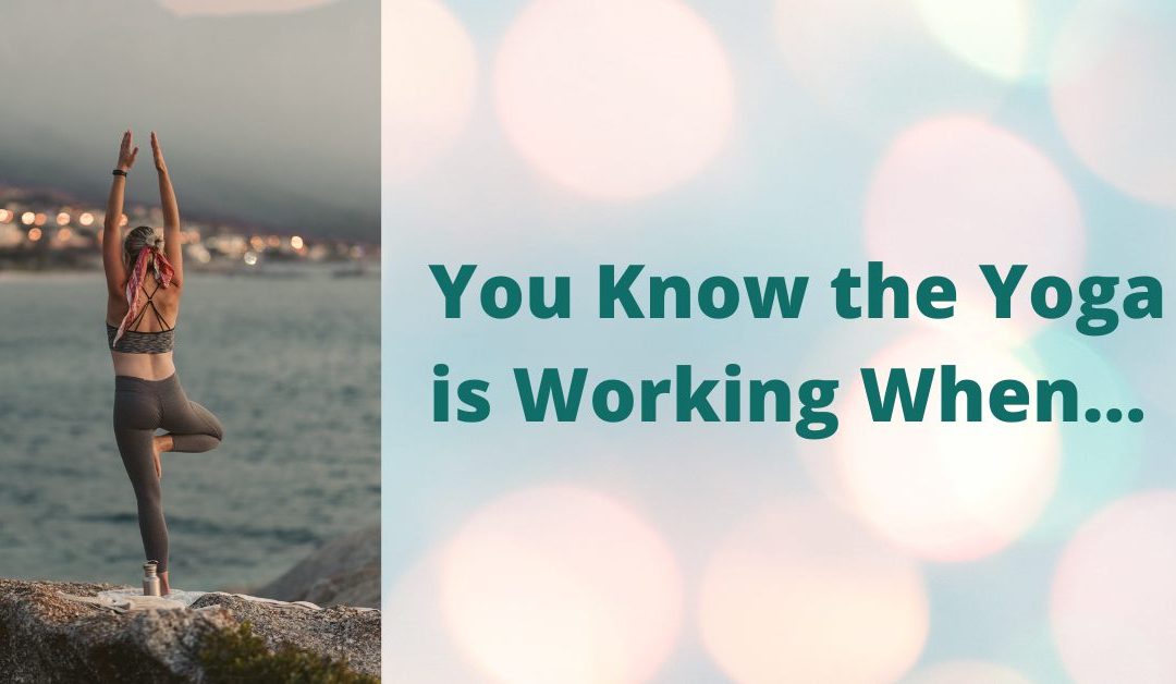 You Know It’s Working: When the Student Becomes the Teacher