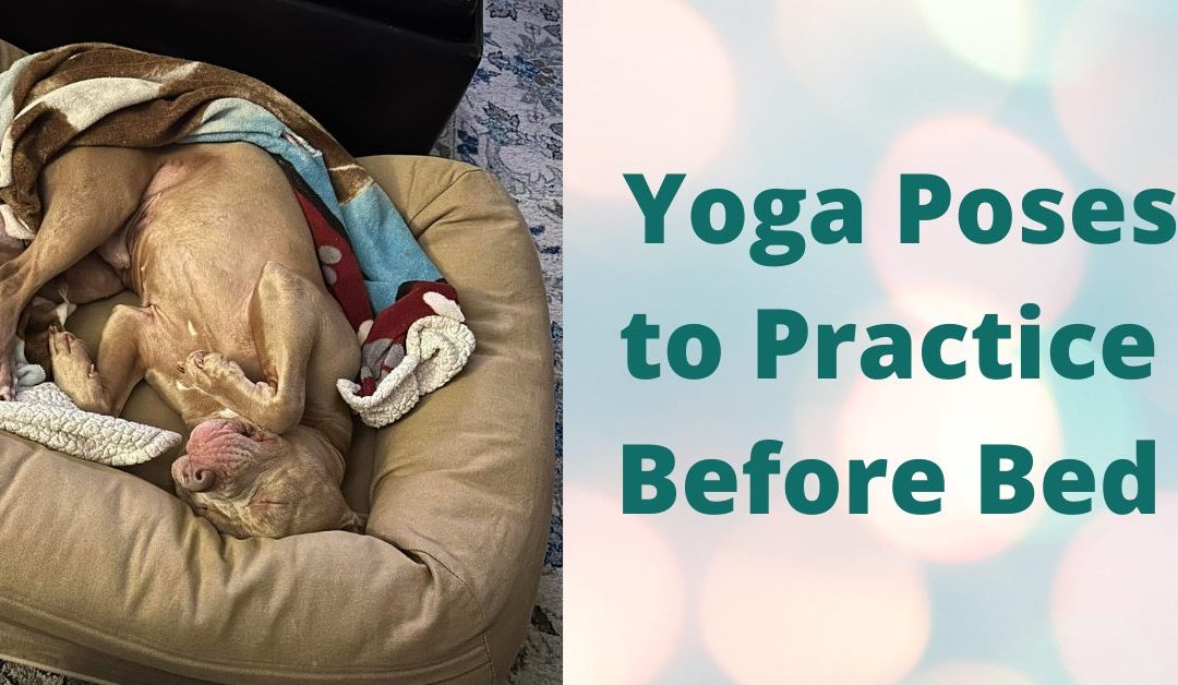 Yoga Poses to Practice Before Bed