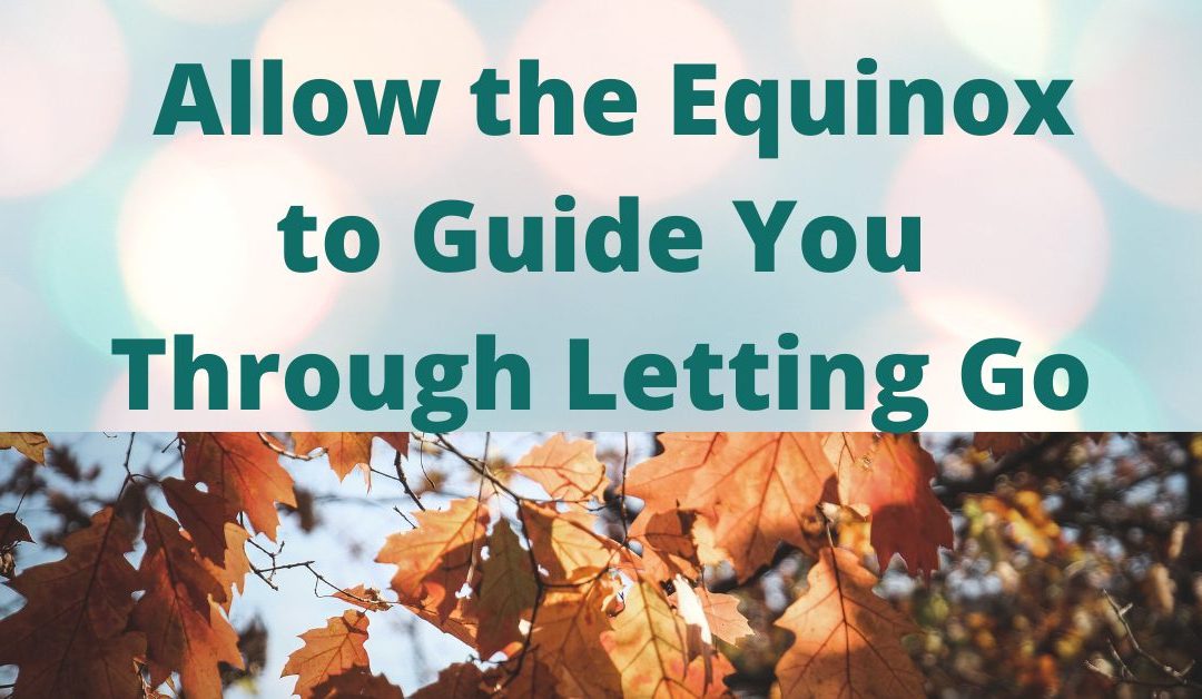 Allow the Equinox to Guide You Through Letting Go